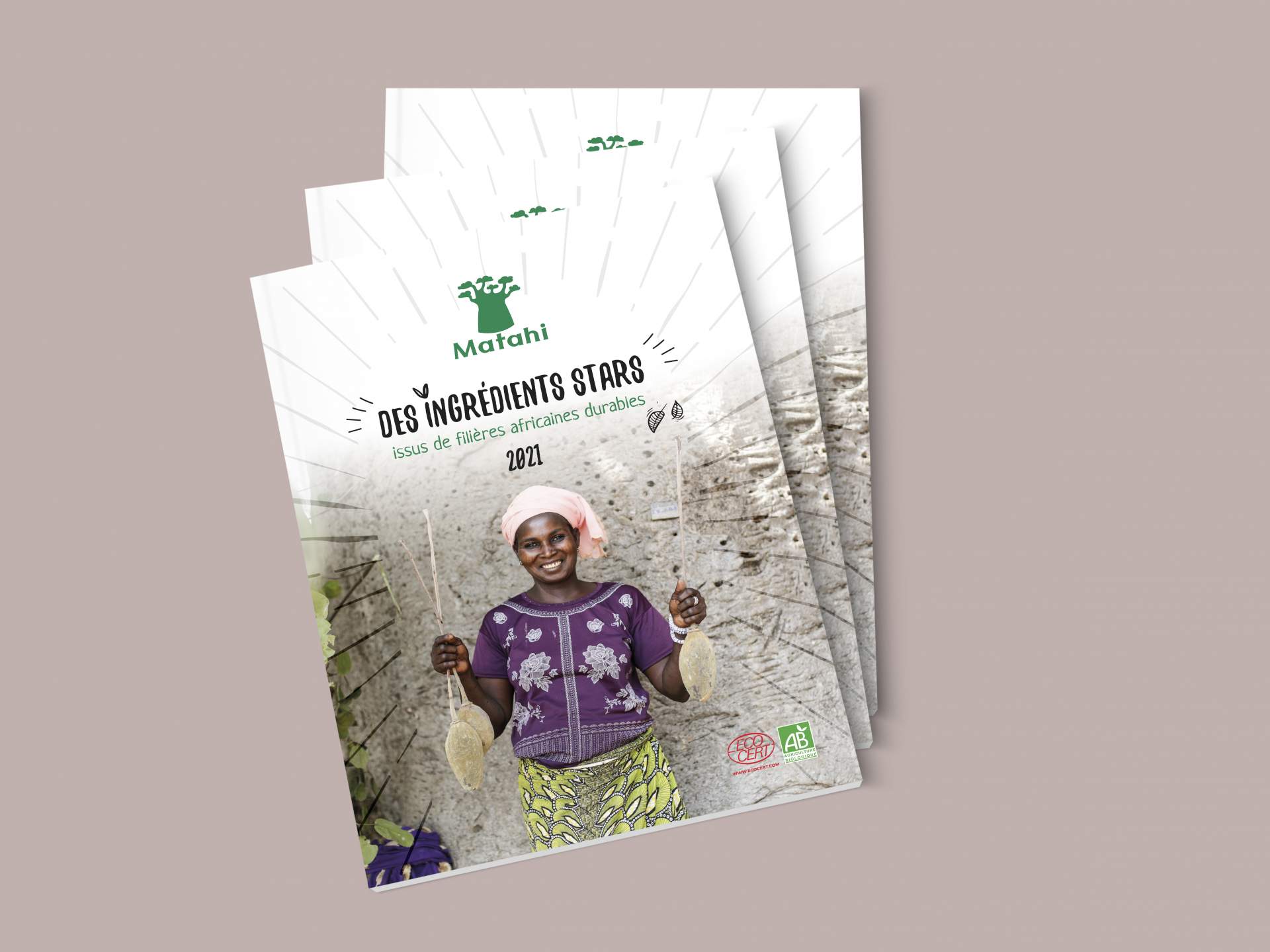 Création de la brochure de Matahi