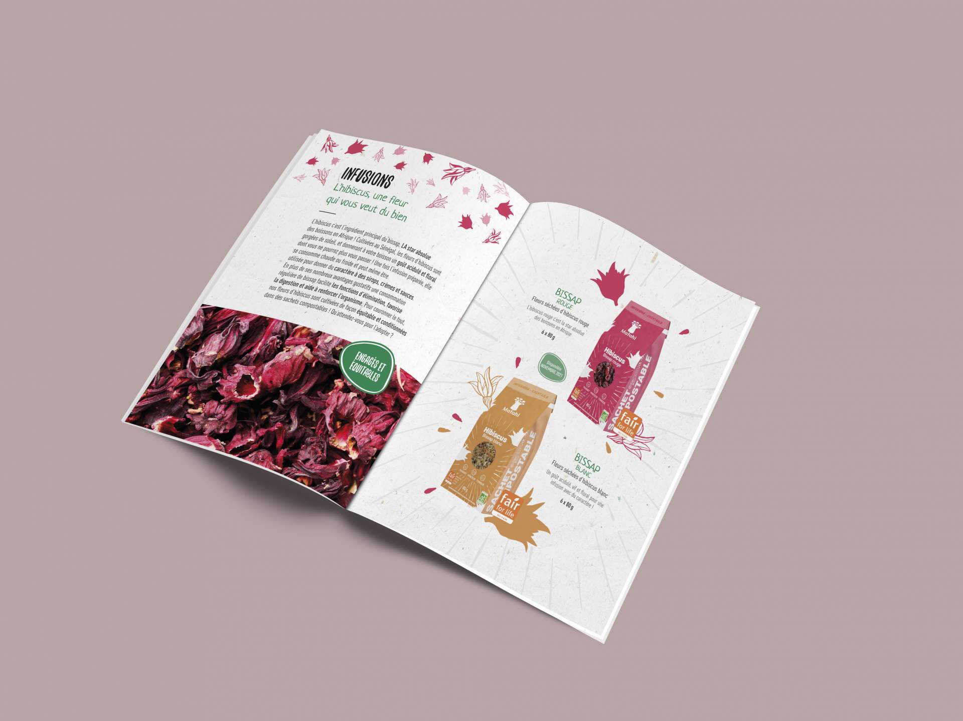 Création de la brochure de Matahi