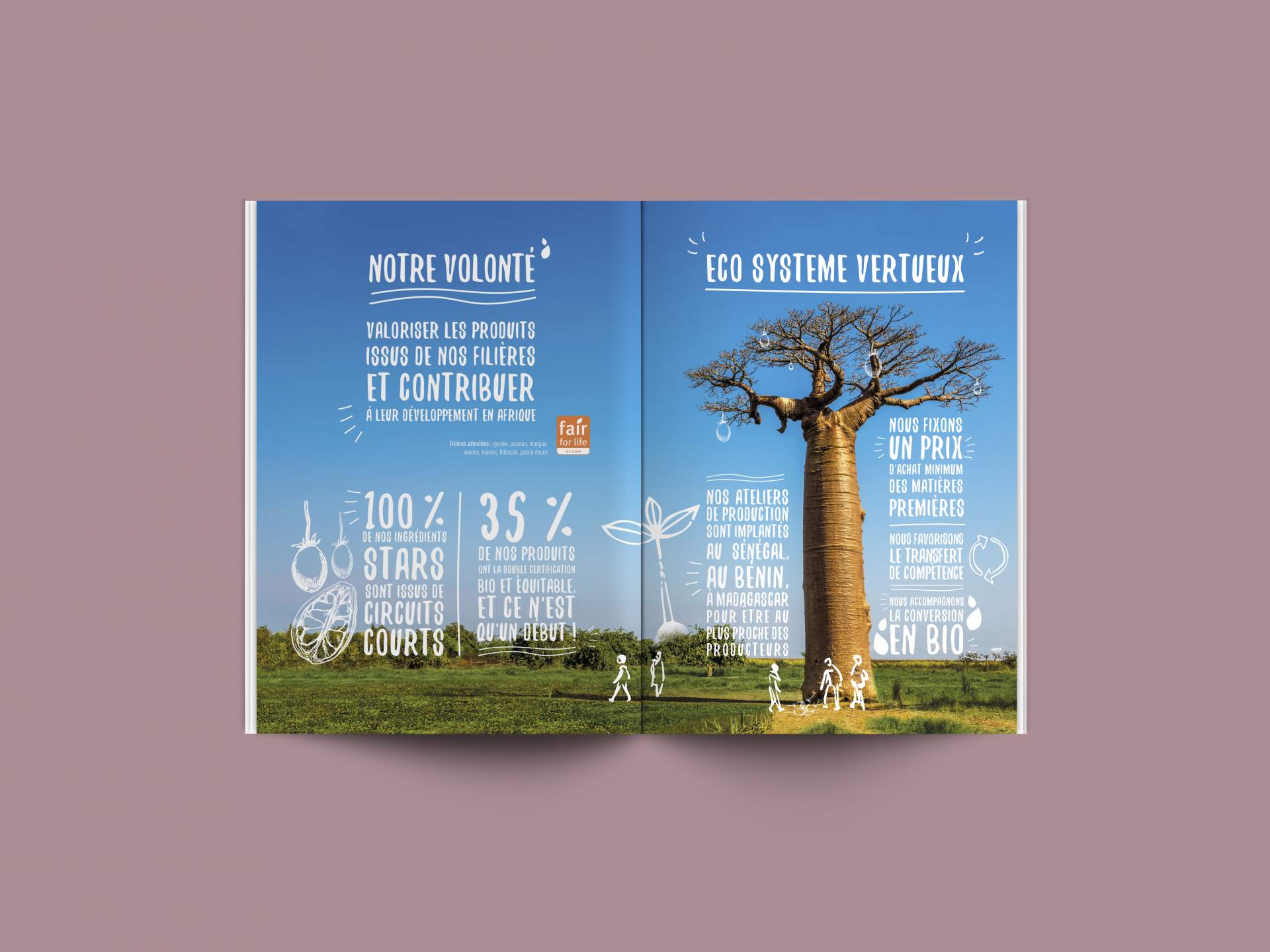 Création de la brochure de Matahi