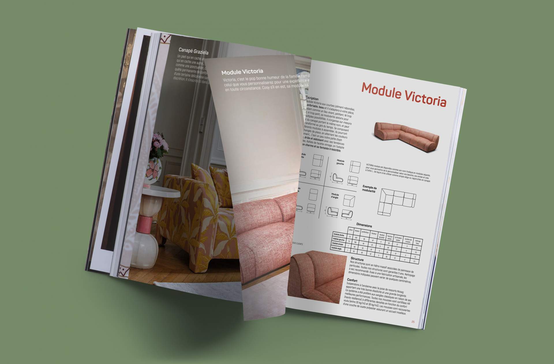 Création du catalogue Popus Editions