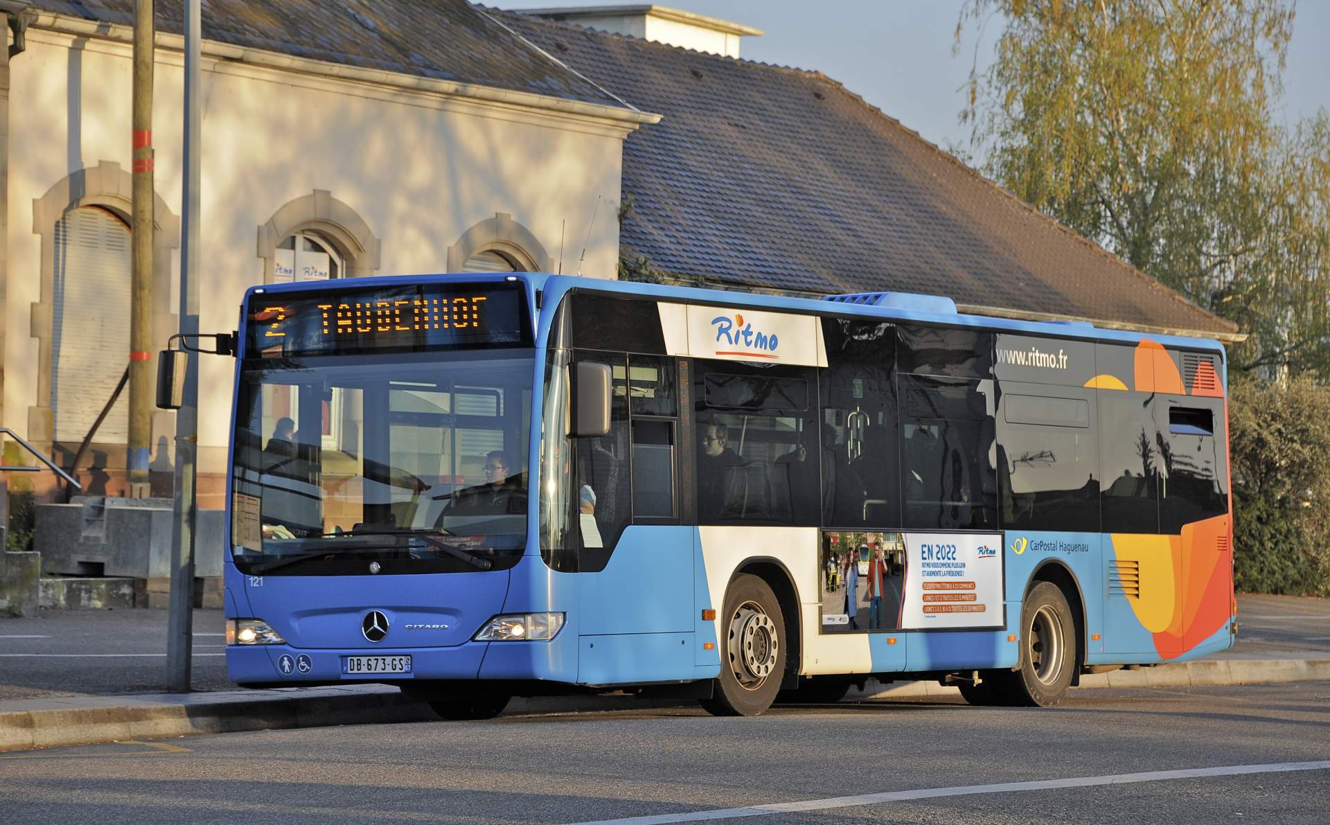 Création de flanc de bus de campagne Ritmo