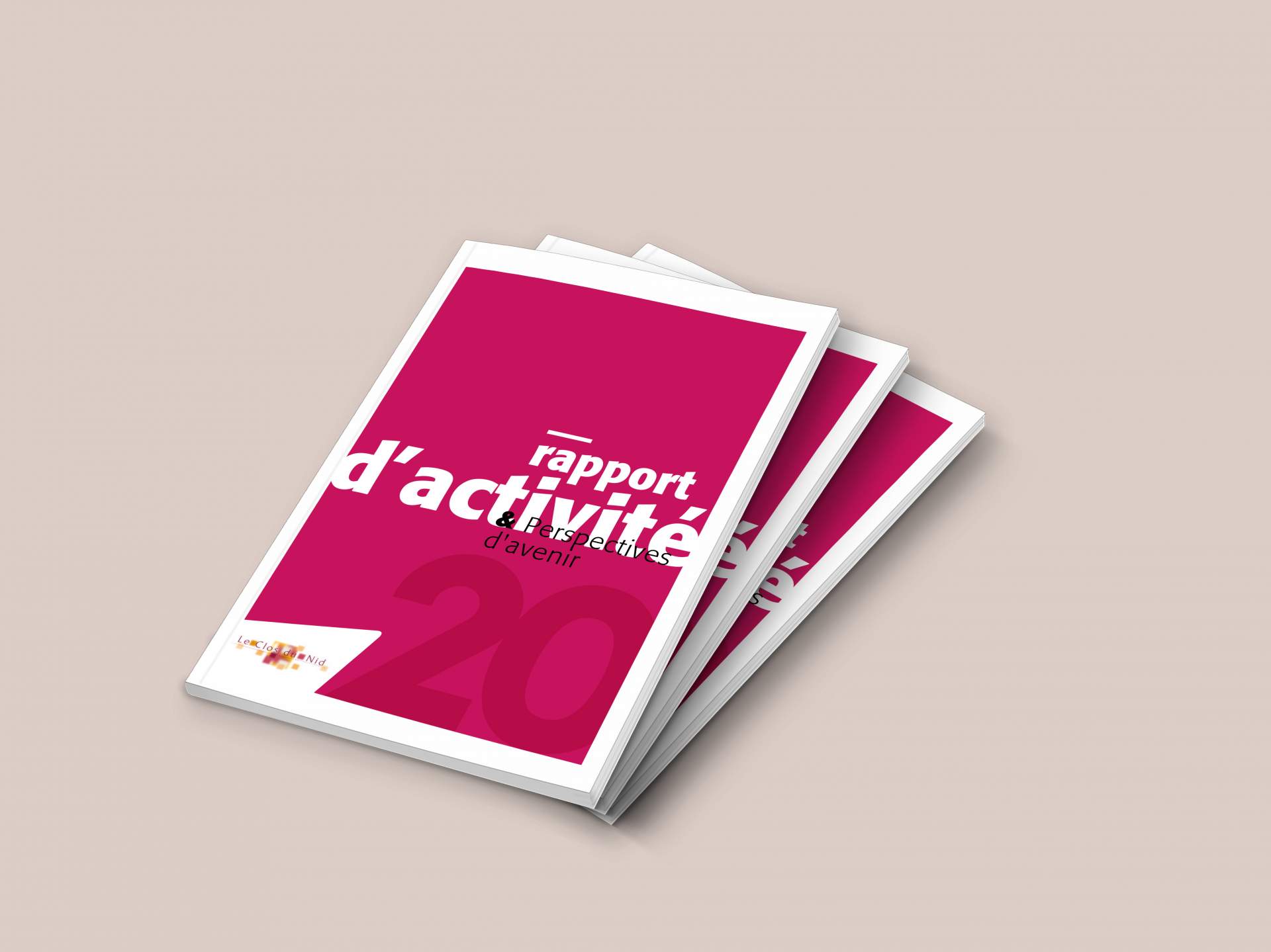 Création du rapport d'activité du Clos du Nid